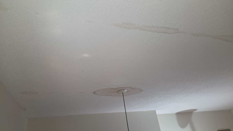 Visible water staining across a finished ceiling