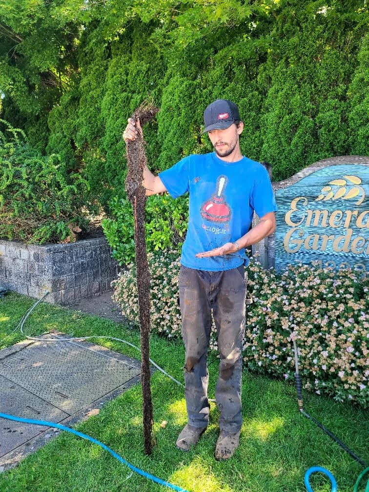 Technician holding roots removed from a blocked drain line